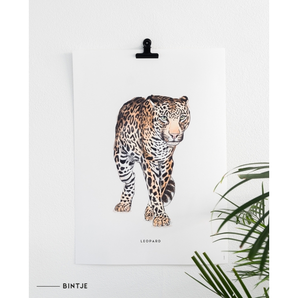 Poster Luipaard C: 50x70 - 6 stuks DE LAATSTE Poster Luipaard C: 50x70 - 6 stuks DE LAATSTE